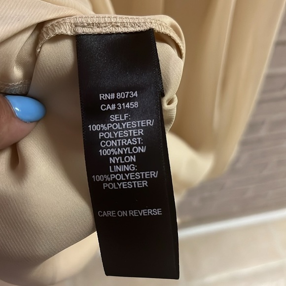 Max and Cleo by BCBG size 2 sleeveless cocktail/wedding chiffon and lace - Picture 7 of 8